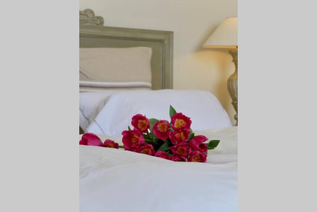 Bord De Mer - Ac, Wifi, Chic, Sea View, Beach 2 Minutes Walk อองทีบส์ ภายนอก รูปภาพ